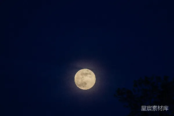 高清摄影 静谧夜空下的圆月