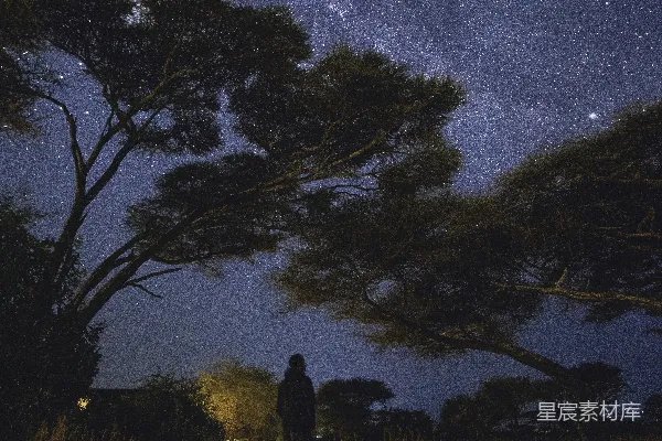 高清摄影 夜空下的独行者