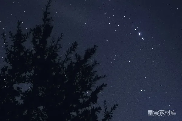 高清摄影 夜空下的剪影