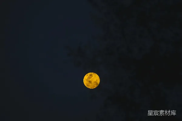 高清摄影 夜空中的满月