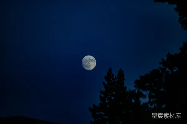 高清摄影 夜空下的月亮