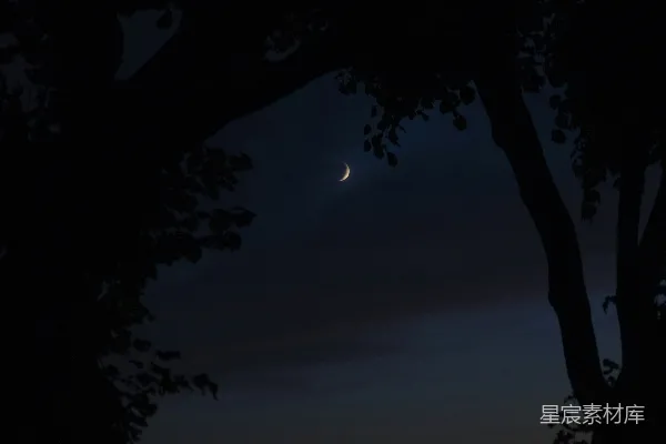 高清摄影 夜幕下的新月