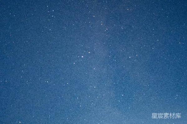 高清摄影 夜空中繁星点点的森林