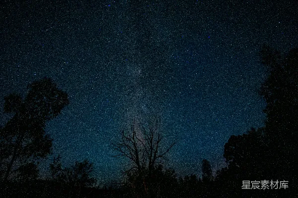 高清摄影 夜空下的星河与树影