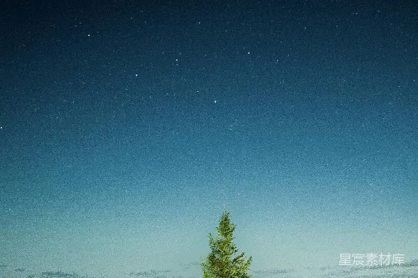 高清摄影 冬夜的星河与松树