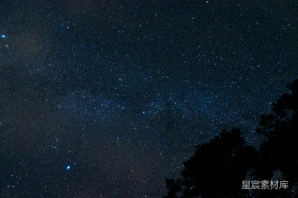 高清摄影 星空下的树梢