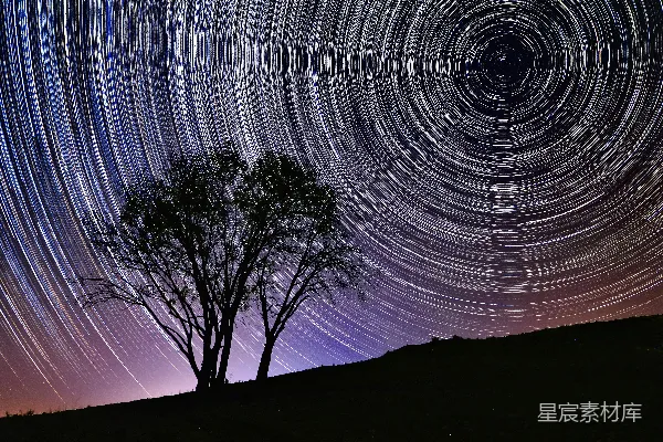 高清摄影 星轨下的孤树