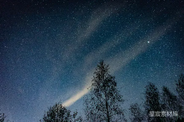 高清摄影 夜空下的银河与树木剪影