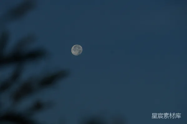 高清摄影 月夜下的静谧