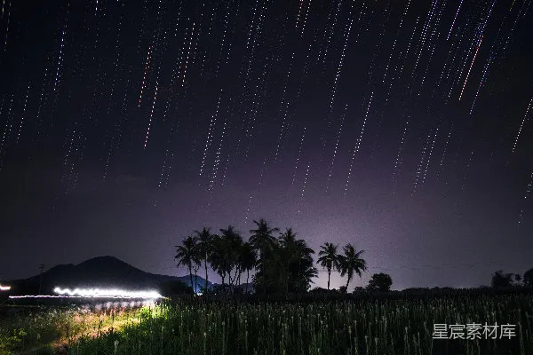 高清摄影 星轨下的椰子树