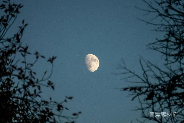 高清摄影 夜空中的一轮明月