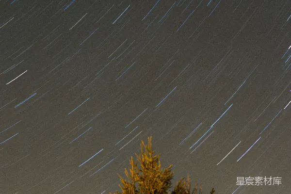 高清摄影 夜空星轨与松树
