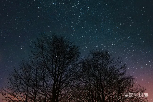 高清摄影 冬夜星河下的雪景