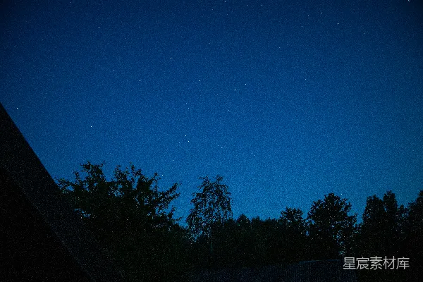 高清摄影 星夜下的静谧森林