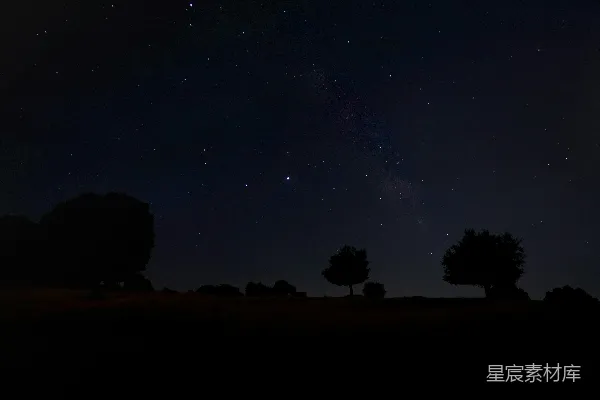 高清摄影 夜空下的树木剪影