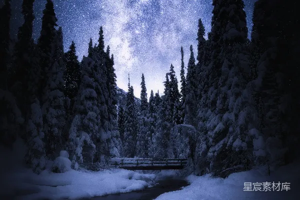 高清摄影 雪夜银河下的静谧森林
