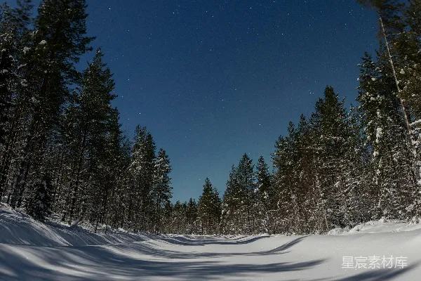 高清摄影 冬夜雪林下的星河