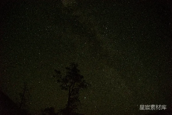 高清摄影 星空中静默的树