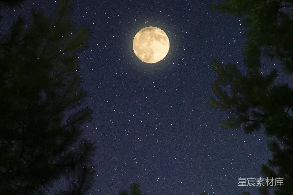 高清摄影 夜空中的满月