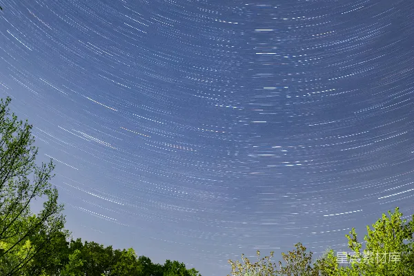 高清摄影 夜空下的星轨与树影