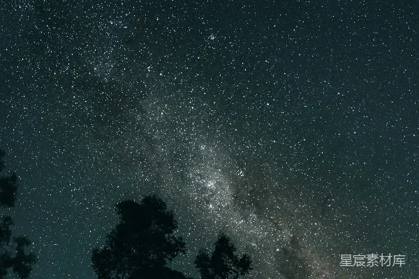 高清摄影 星空下的森林