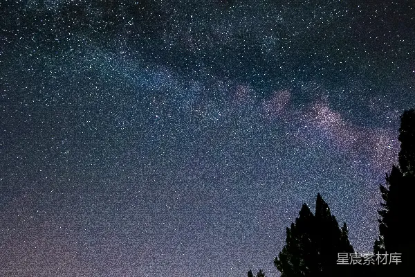 高清摄影 银河夜空下的森林剪影