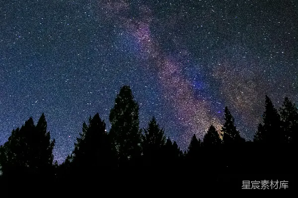 高清摄影 银河夜景下的森林剪影