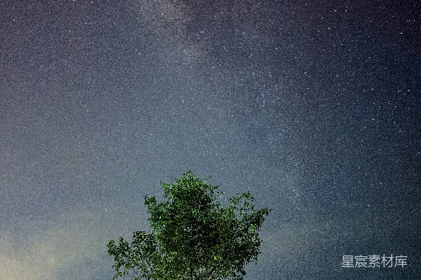 高清摄影 星空下的树