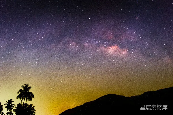 高清摄影 星河下的椰子树