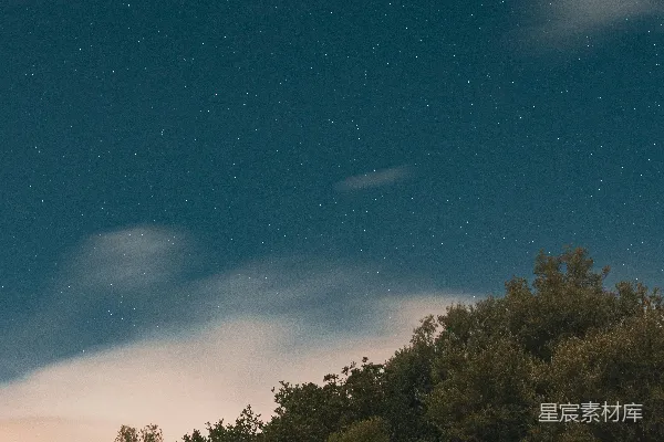 高清摄影 夜空下的岩石与树木