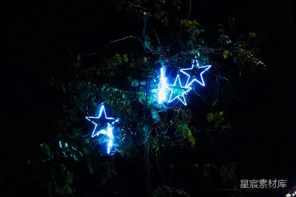 高清摄影 夜幕下的星光点缀
