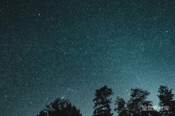 高清摄影 夜空中星河与树木剪影