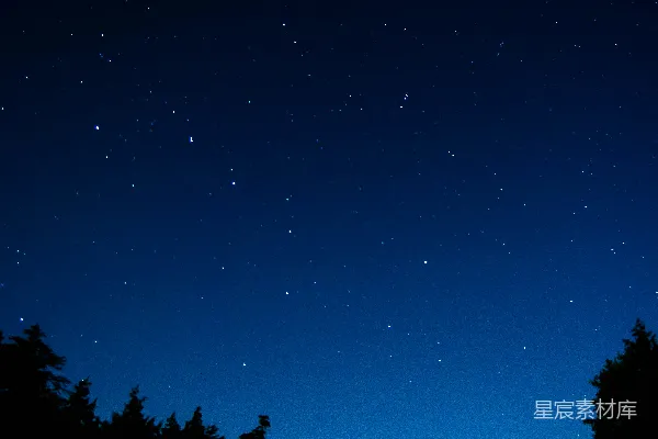 高清摄影 夜空下的森林剪影