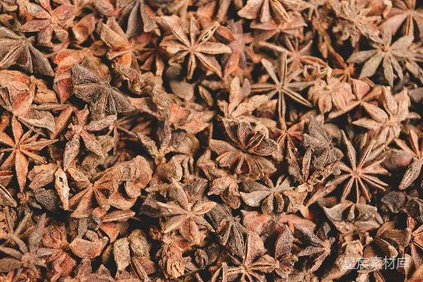 高清摄影 八角香料