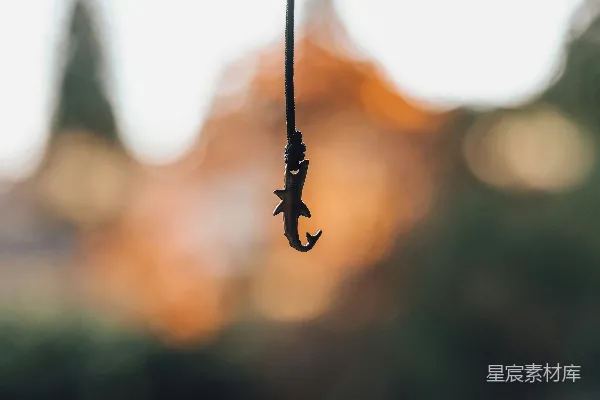 高清摄影 悬挂在夜空下的鲨鱼挂件
