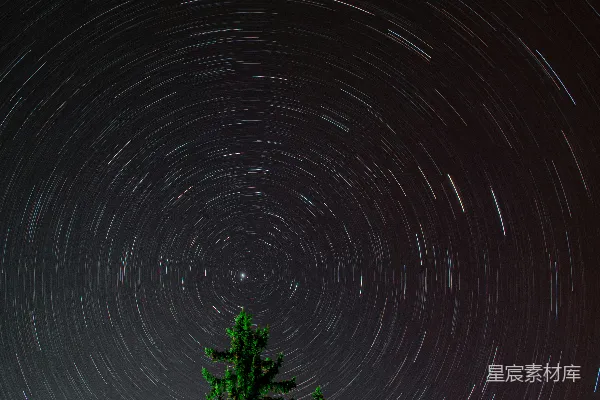 高清摄影 星轨下的松树