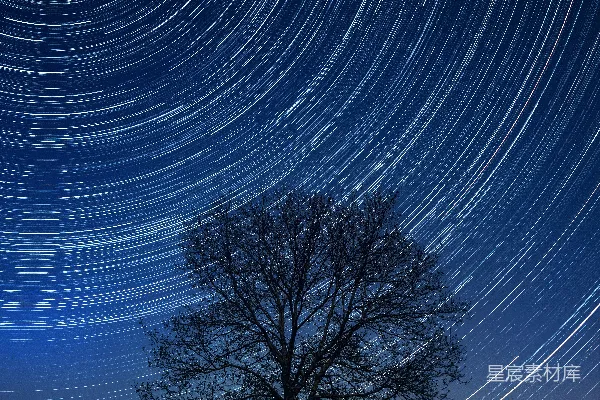 高清摄影 夜空下的树影星轨