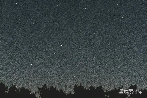 高清摄影 夜空下的森林