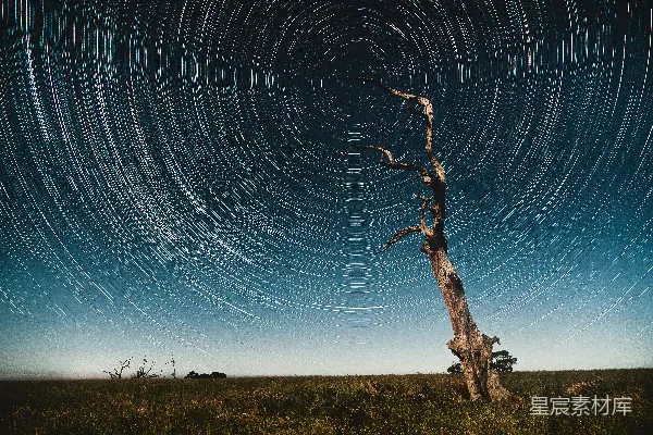 高清摄影 旋转星河下的孤树
