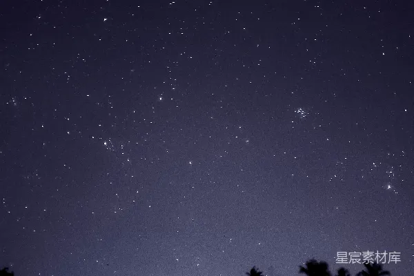 高清摄影 星夜下的椰林