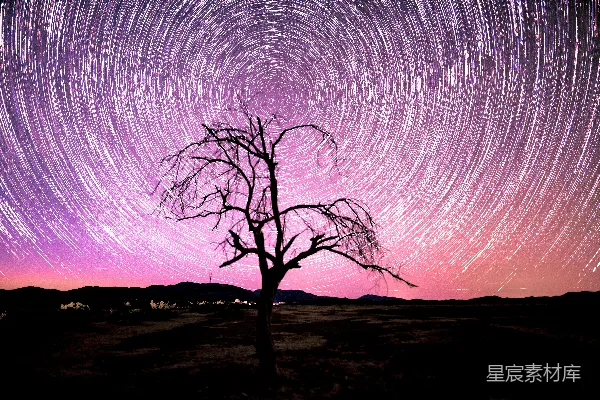 高清摄影 星空下的孤树