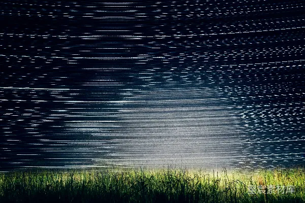 高清摄影 星轨下的稻田