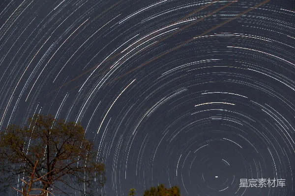 高清摄影 星轨下的树影