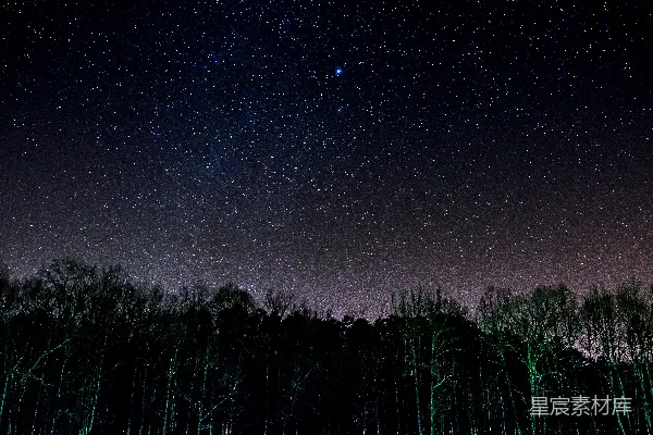 高清摄影 夜幕下的森林与星空