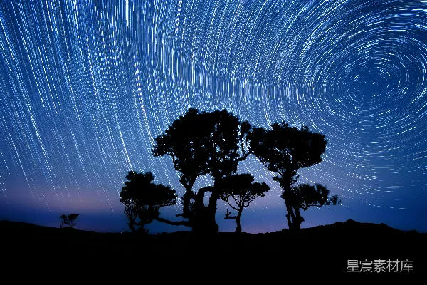 高清摄影 星轨下的树影
