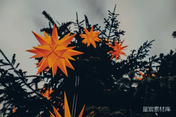 高清摄影 圣诞树上的星形装饰