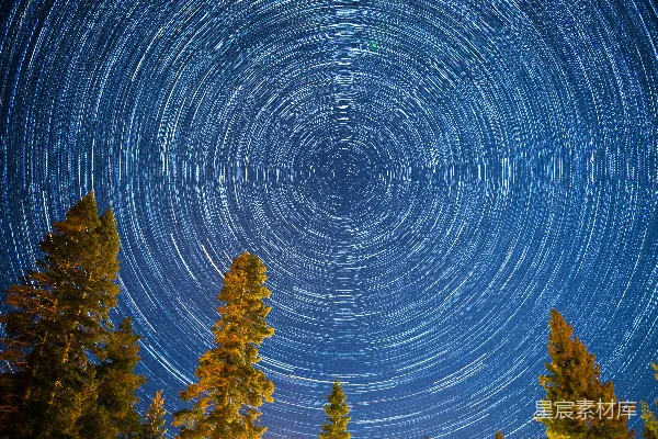 高清摄影 星轨下的松树