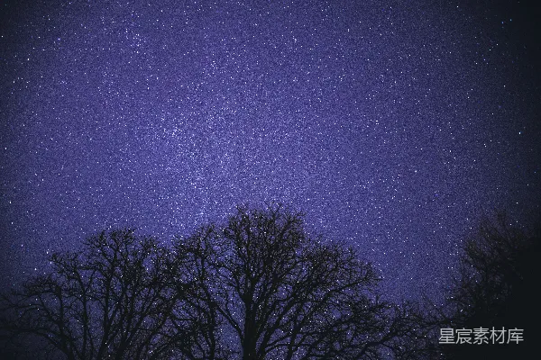 高清摄影 星空下的树影