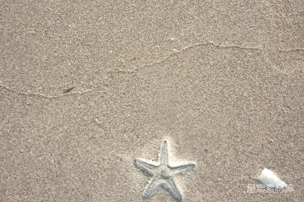 高清摄影 海滩上的海星