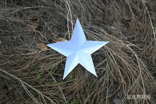高清摄影 自然中的纸星星